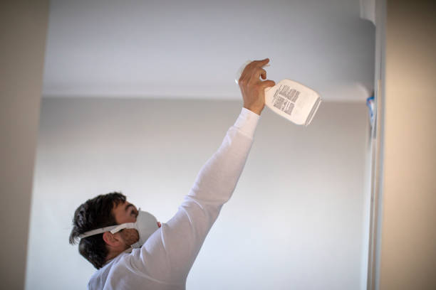 Best Residential Mold Remediation in Cairo, IL