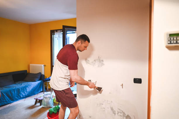 Best Emergency Mold Remediation in Cairo, IL